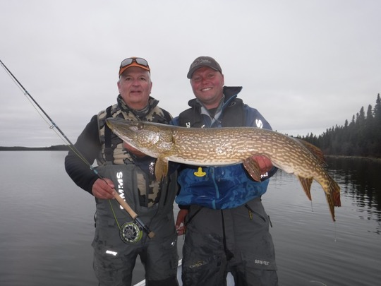 Northern Pike