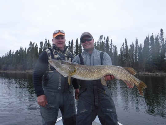 Northern Pike