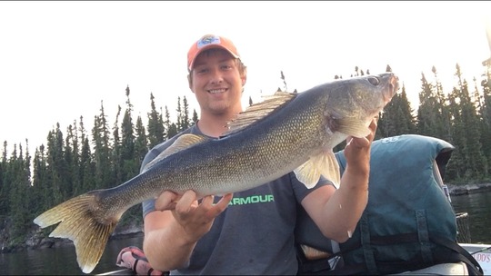 Walleye