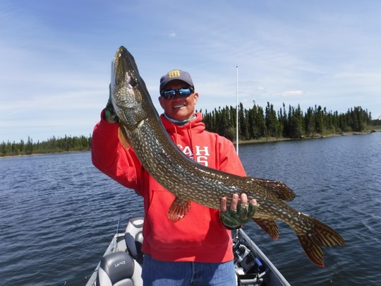 Northern Pike