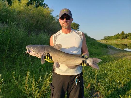 Channel Catfish
