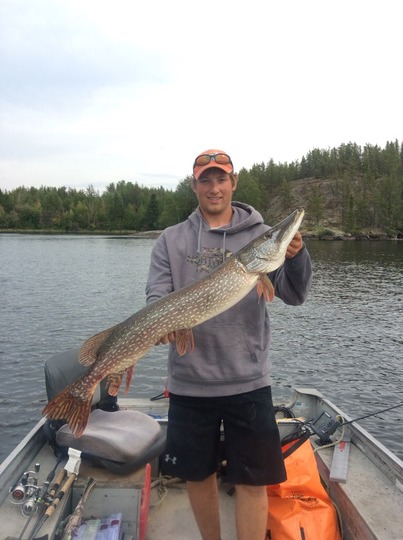 Northern Pike