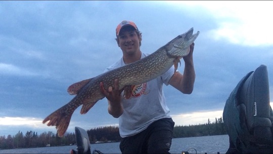 Northern Pike