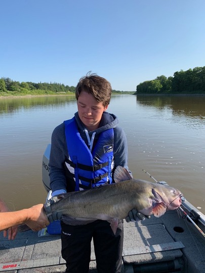 Channel Catfish