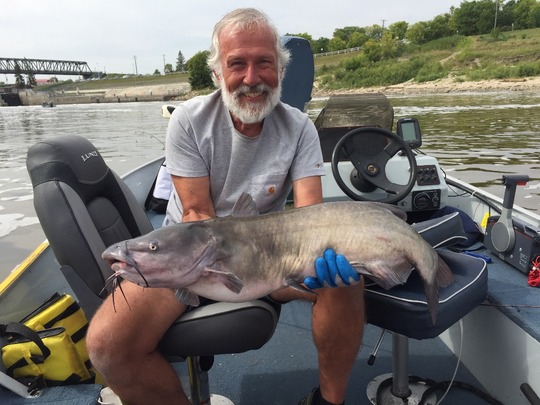 Channel Catfish