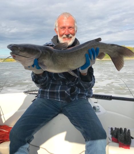 Channel Catfish