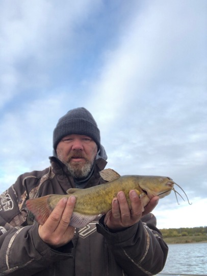 Bullhead