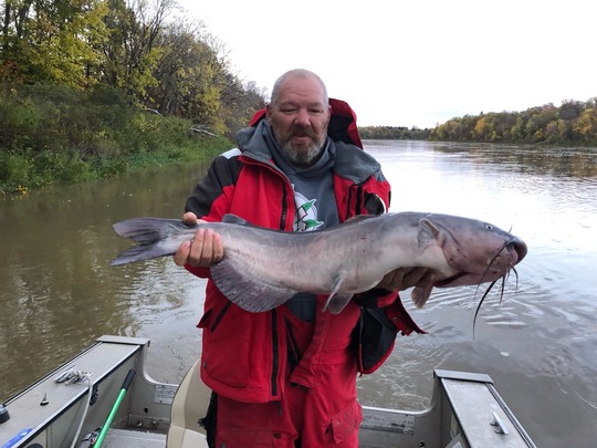 Channel Catfish