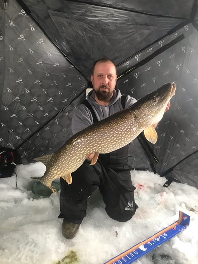 Northern Pike