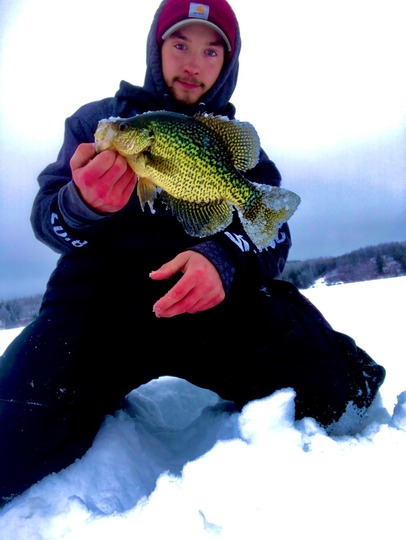 Black Crappie