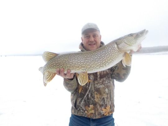 Northern Pike