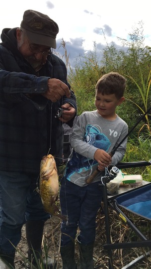 Bullhead