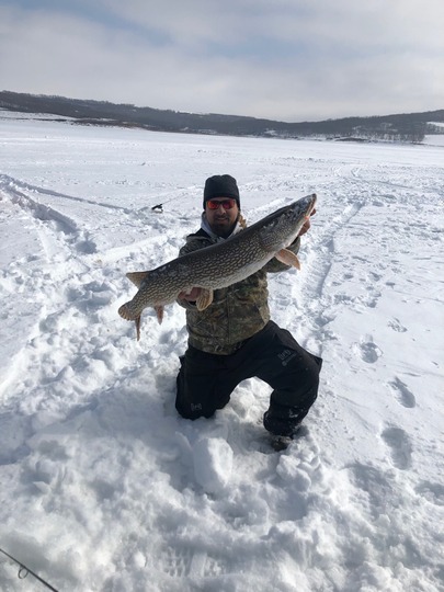 Northern Pike