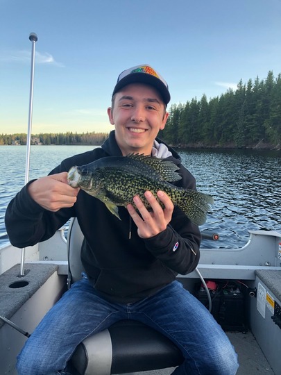 Black Crappie
