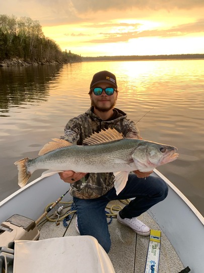Walleye