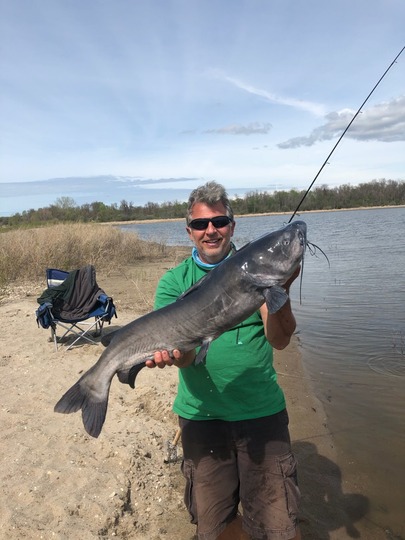 Channel Catfish