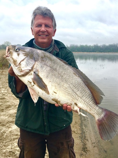 Freshwater Drum