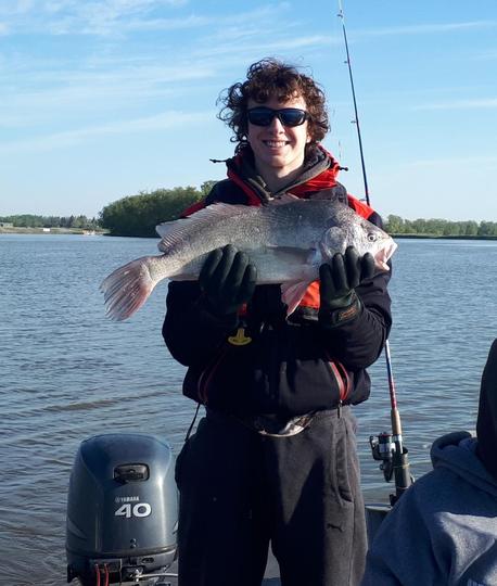 Freshwater Drum