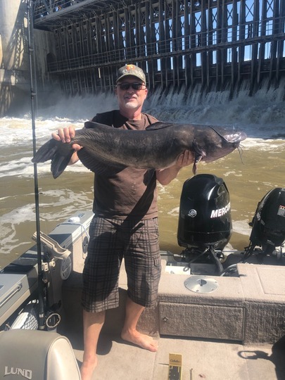 Channel Catfish