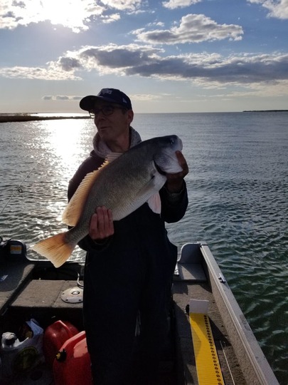 Freshwater Drum
