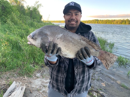 Freshwater Drum