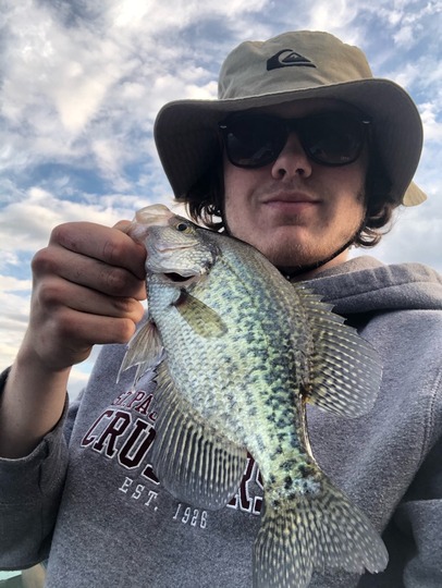 Black Crappie