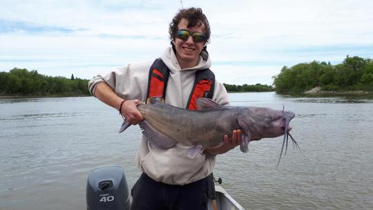 Channel Catfish