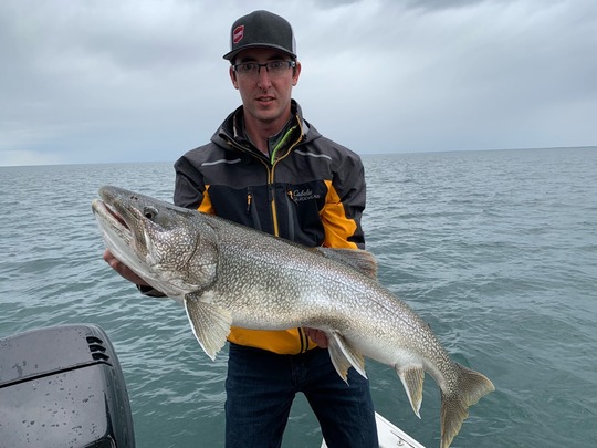 Lake Trout