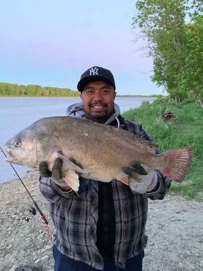 Freshwater Drum