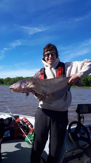 Channel Catfish