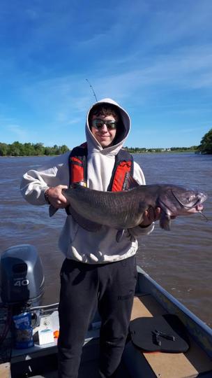 Channel Catfish