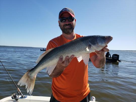 Walleye