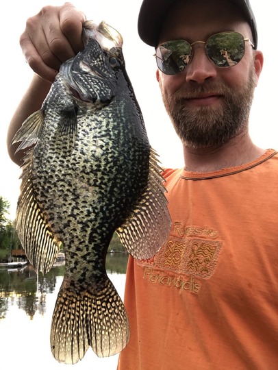 Black Crappie