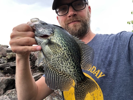 Black Crappie