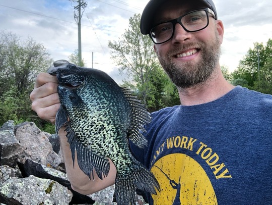 Black Crappie