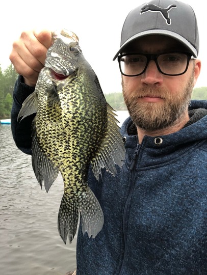 Black Crappie