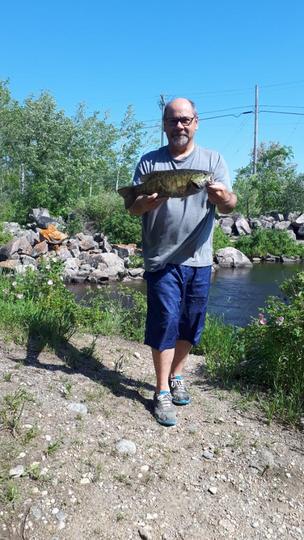 Smallmouth Bass