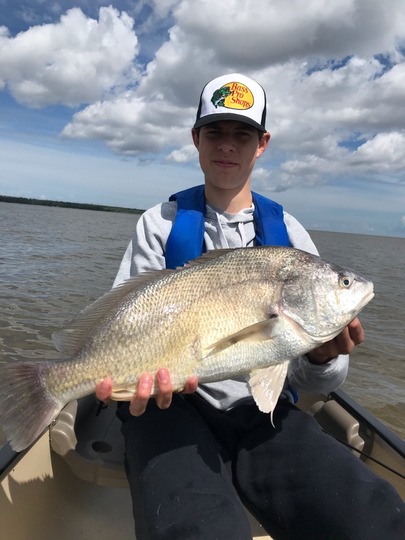 Freshwater Drum