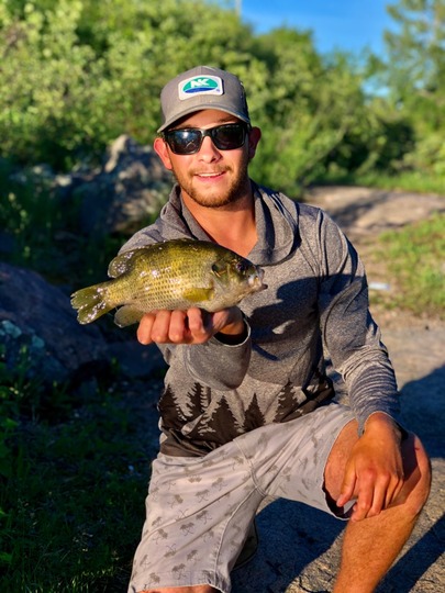 Rock Bass