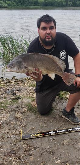 Freshwater Drum