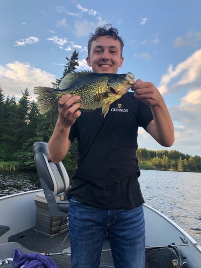 Black Crappie