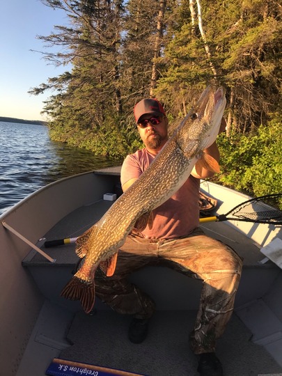 Northern Pike