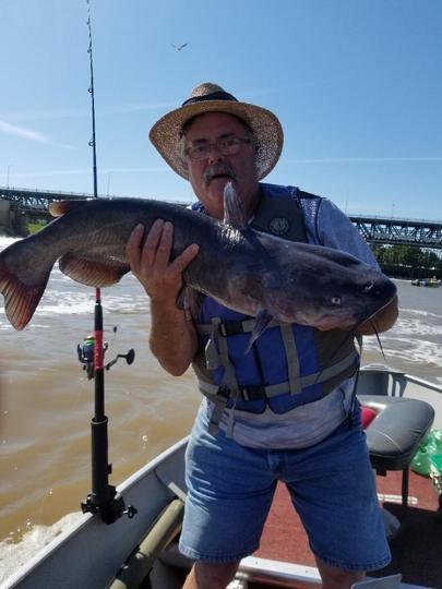 Channel Catfish