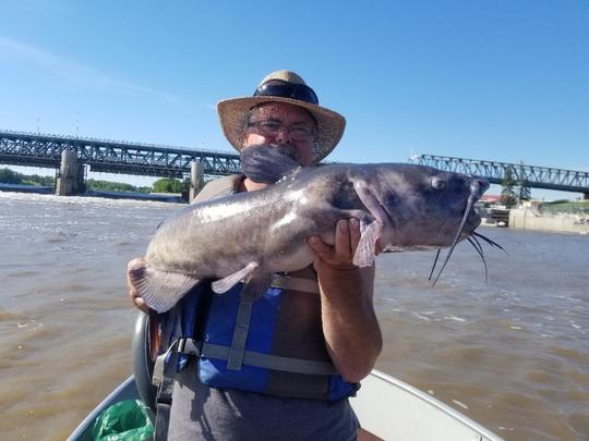 Channel Catfish