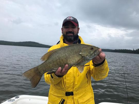 Smallmouth Bass