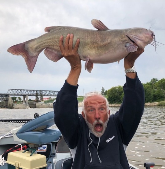 Channel Catfish