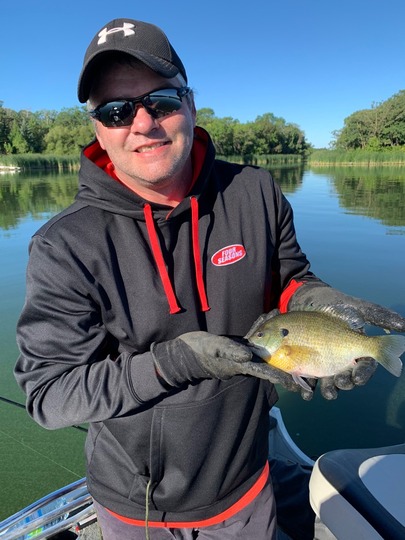 Sunfish