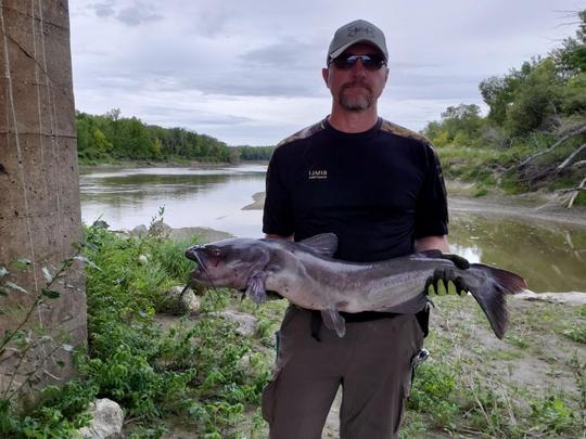 Channel Catfish