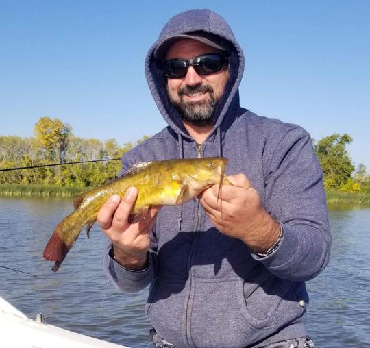 Bullhead