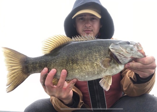 Smallmouth Bass